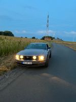 Ford Mustang Nordrhein-Westfalen - Schöppingen Vorschau