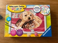 Ravensburger Malen nach Zahlen ab 9 Jahre Hund Katze Obergiesing-Fasangarten - Obergiesing Vorschau