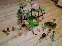 Playmobil Fairies "Magischer Feenwald" Niedersachsen - Westoverledingen Vorschau