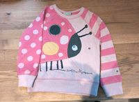 Next Pullover Bee Ladybug 110 Nordrhein-Westfalen - Hattingen Vorschau