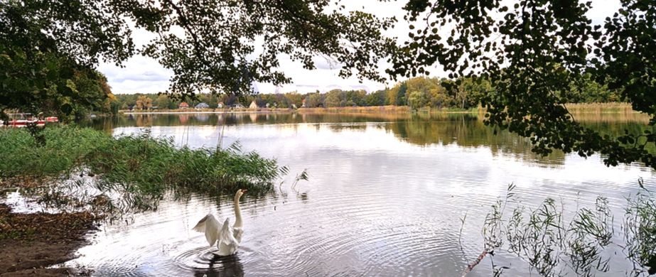 Familienoase mit einem großem Garten als idealer Rückzugsort in Falkensee