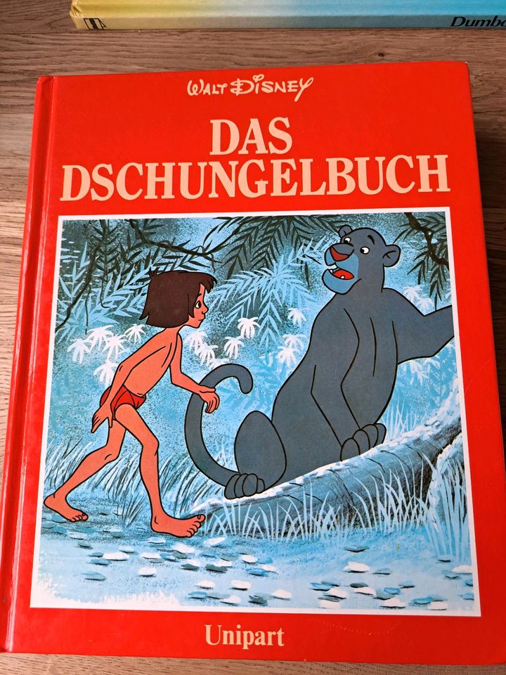 Walt Disney Bücher Hood, Dumbo,Dschungelbuch, Bernar in Mülheim (Ruhr)