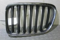 BMW X1 E84 Grill Zierleiste vorne links Nordrhein-Westfalen - Dorsten Vorschau