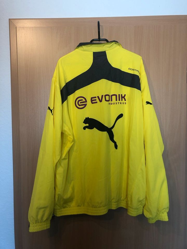 BVB Trainingsjacke XXL in Meschede