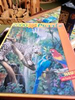 Puzzle 2000 Teile im Regenwald Nordrhein-Westfalen - Kreuzau Vorschau