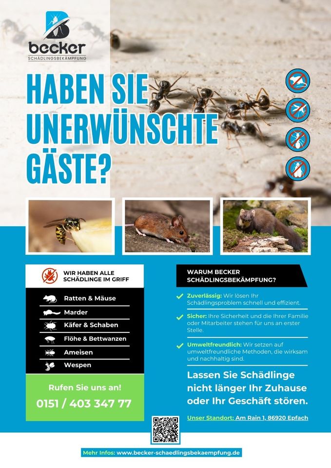 Mäuse bekämpfen/ Ratten bekämpfen/ Schädlingsbekämpfung in Denklingen