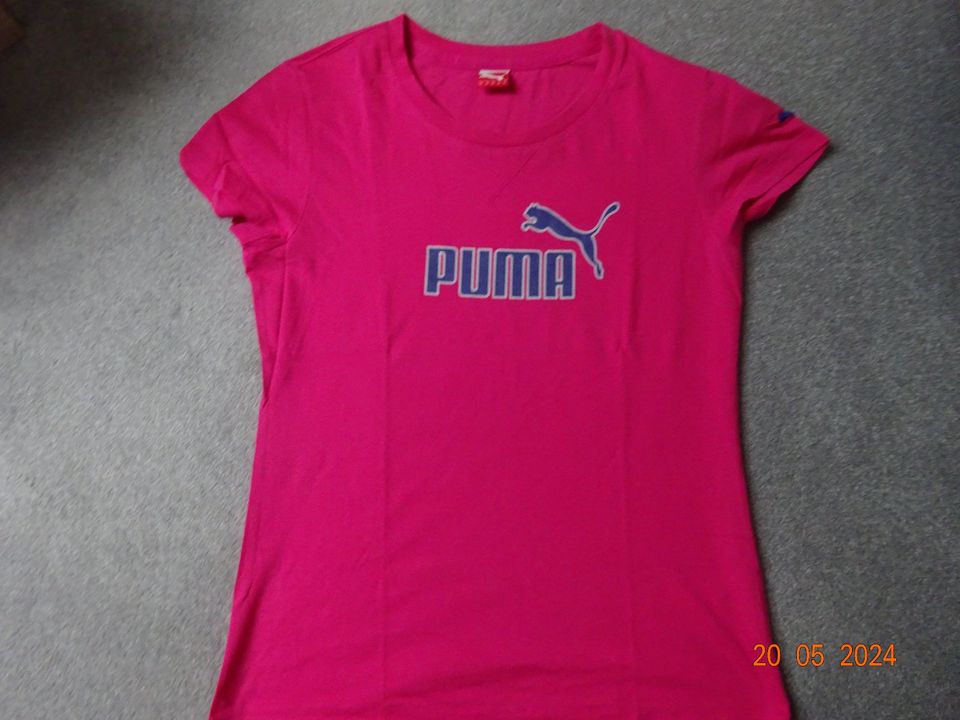 Puma T-Shirt in Halberstadt