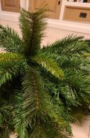Rockwood Pine, Weihnachts Baum , kunst ,225cm  neu in Verpackung. Nordrhein-Westfalen - Gronau (Westfalen) Vorschau