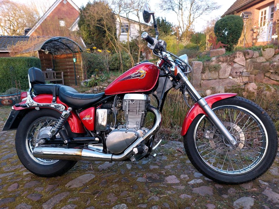 Suzuki Savage  LS 650 in Drestedt