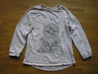 Pulli H&M Baumwolle Katzen rosa 134/140 Bayern - Regensburg Vorschau