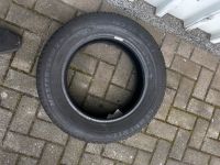 Semperit Winterreifen 185/65R15 Nordrhein-Westfalen - Oberhausen Vorschau