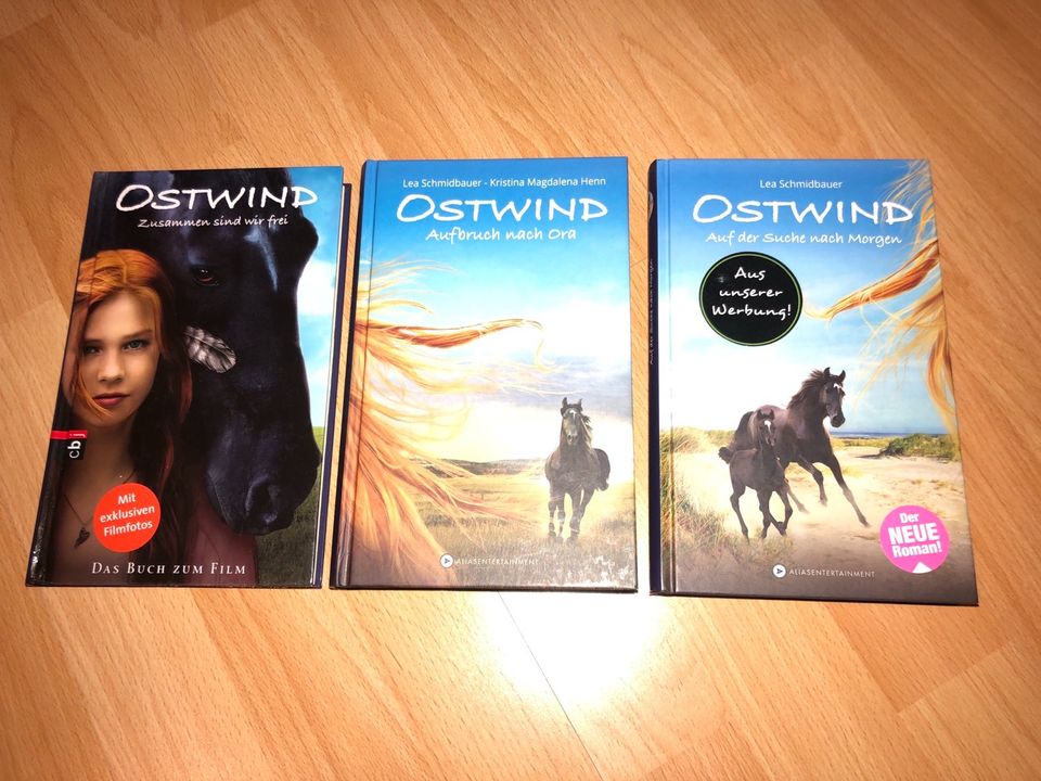 Bibi & Tina / Ostwind / Elena / Sebastian Fitzek Bücher in Rhede