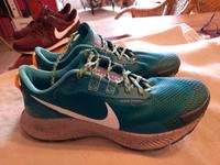 NEU! Nike  Pegasus Trial.   EU42,5 Hessen - Grasellenbach Vorschau