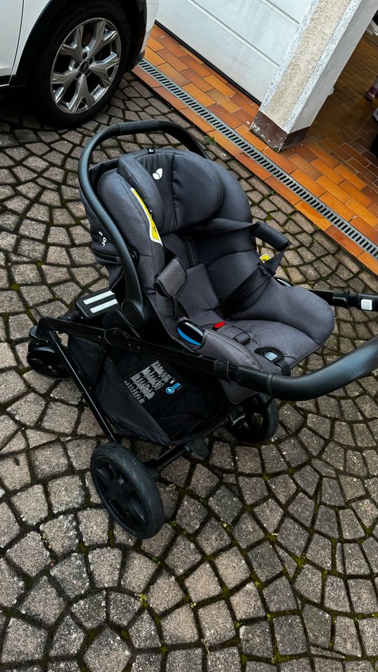 Kinderwagen Joie in Dreisen