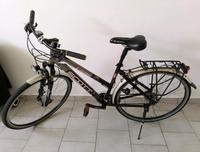 Scott Damenfahrrad, wie neu Bayern - Moosthenning Vorschau