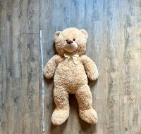 Riesen Teddybär Niedersachsen - Hillerse Vorschau