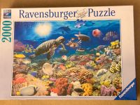 2000 Puzzle Ravensburger nr 166282 neu Brandenburg - Bernau Vorschau