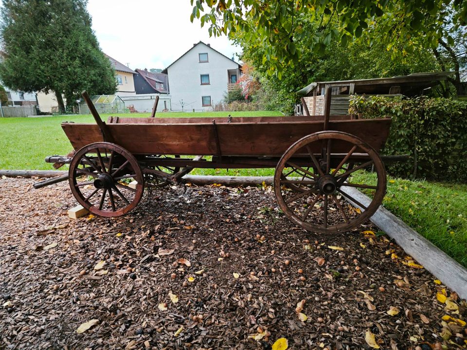 Holzwagen antik  in gutem Zustand in Eschau