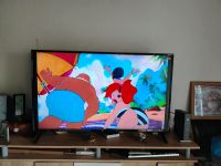 LG 49UJ6309,  TV Fernseher Nordrhein-Westfalen - Aldenhoven Vorschau