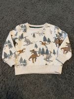 Pullover Dopodopo Dinos Gr. 98 Baden-Württemberg - Edingen-Neckarhausen Vorschau