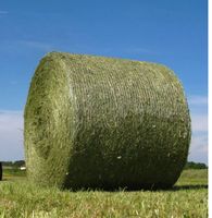 Heu Rund oder Quaderballen / Heulage DRINGEND Niedersachsen - Tostedt Vorschau