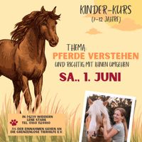 Kinderkurs „Pferde verstehen und richtig mit Ihnen umgehen“ Baden-Württemberg - Widdern Vorschau