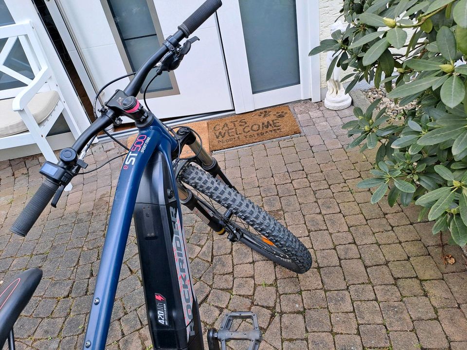 Ebike Mountainbike 27,5 Zoll in Hünstetten