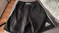 Adidas Shorts Boxing Gr.L Baden-Württemberg - Aichstetten Vorschau