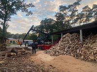 Brennholz Kiefer Ofenfertig Kaminholz Lieferung Wunschlänge Brandenburg - Lübben Vorschau