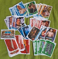 Topps Slam Attax Mayhem Wrestling Trading Cards Karten Rheinland-Pfalz - Mainz Vorschau