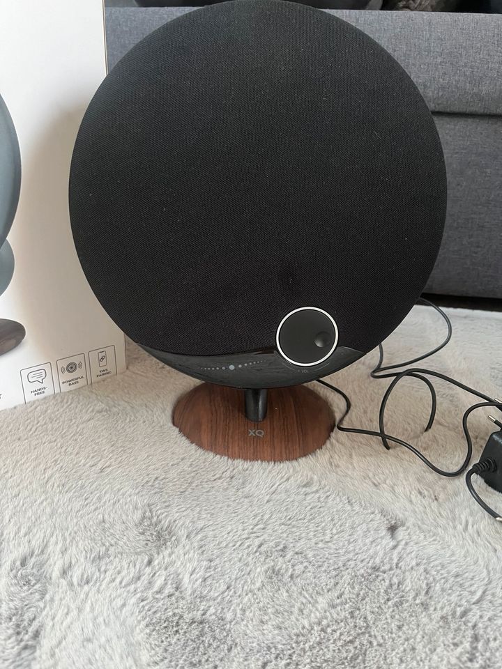 XQISIT 36 W HI-FI Speaker in Sinsheim