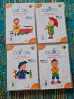 4 Caillou DVD Nordrhein-Westfalen - Paderborn Vorschau