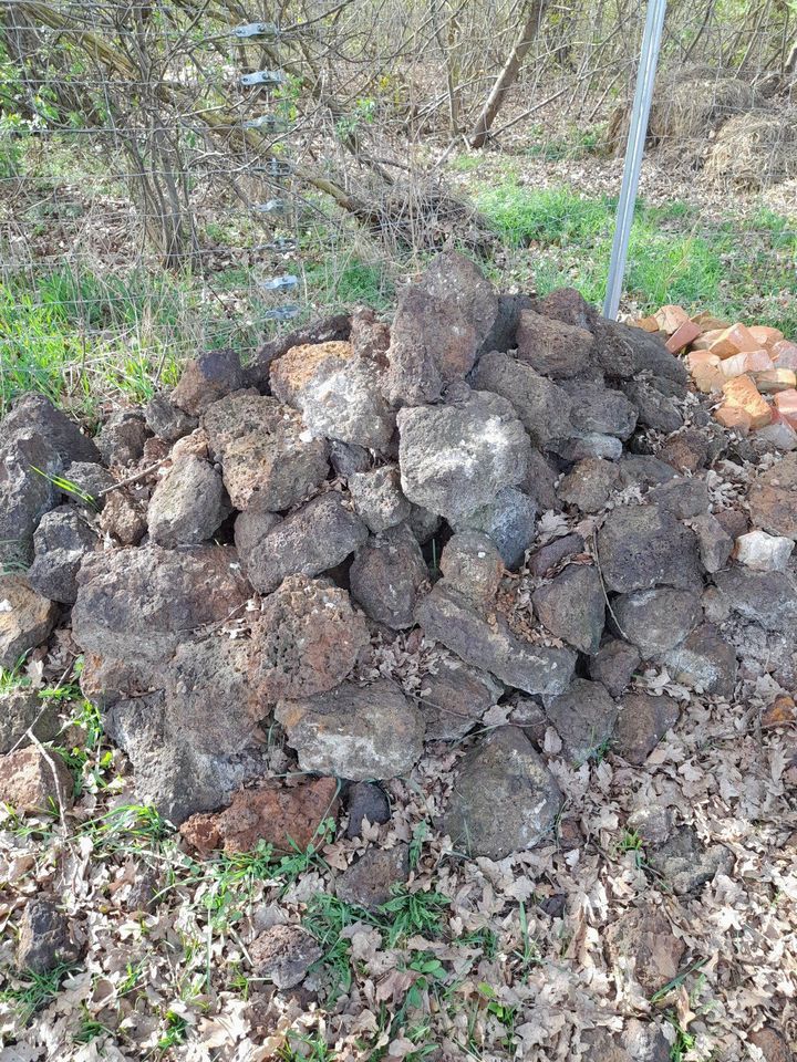 Raseneisensteine / Eisensteine abzugeben in Ziegendorf