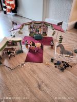 Schleich große Pferdeshow, 42466, Horse Club Nordrhein-Westfalen - Delbrück Vorschau