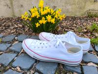 Converse All Stars Gr 46 Nordrhein-Westfalen - Hille Vorschau