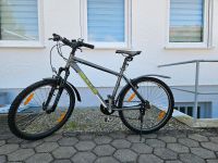 Mountainbike Bulls Bayern - Herrsching Vorschau