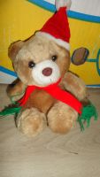 Winter Teddy braun 18 cm Sachsen - Bischofswerda Vorschau