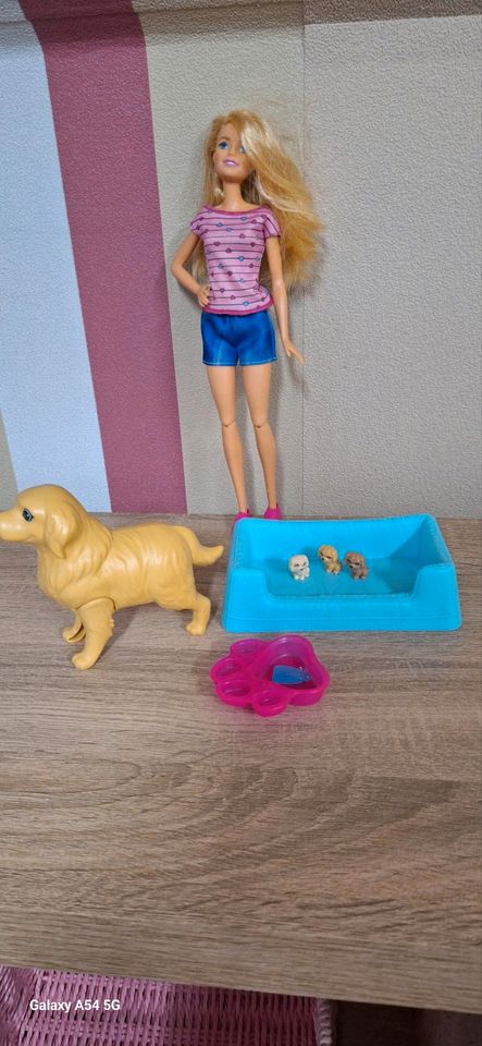 Hundemama mit Welpen und eine Barbie Set in Bedburg