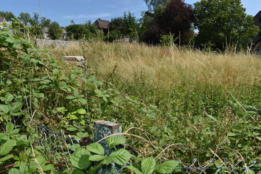 Steigende Mieten & Nebenkosten? Nein, danke! Ihr Bungalow mit hohem Komfort in Moringen OT Nienhagen in Moringen