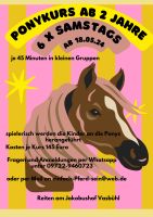 Ponykurs für die kleinen ab Mai Bayern - Werneck Vorschau