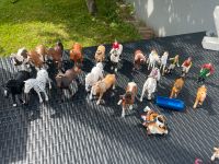 18 verschiedene Schleich Pferde + 2 Reiter + Zubehör Hessen - Bad Homburg Vorschau