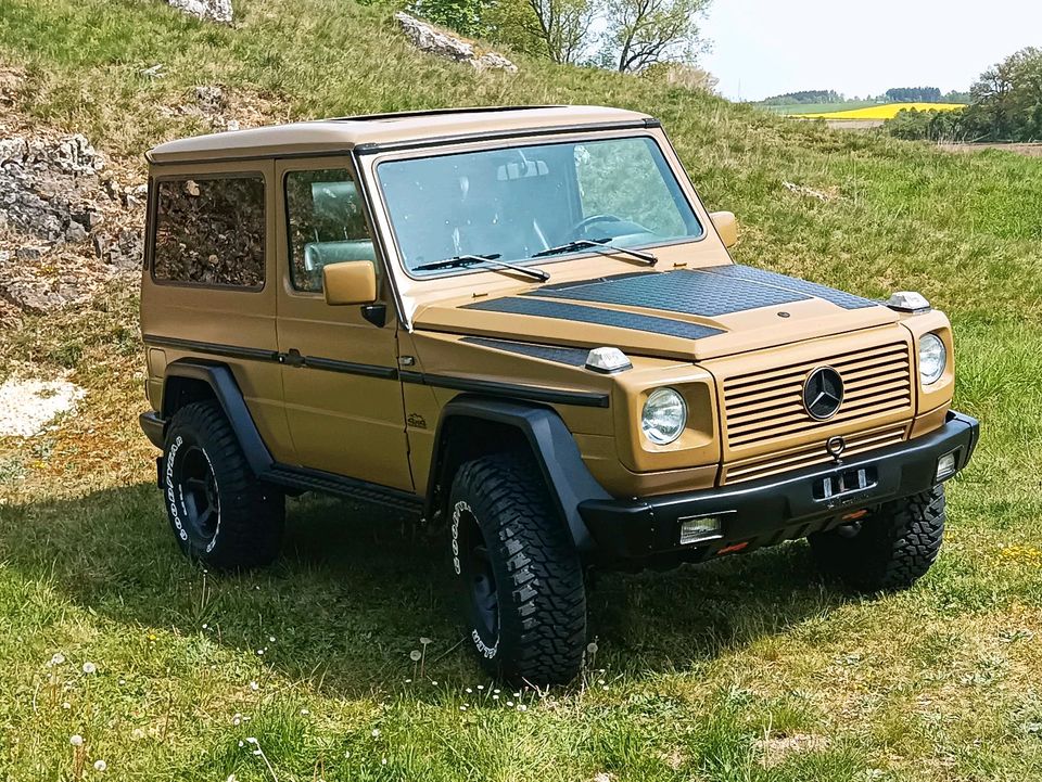 Mercedes G300TD in Ziertheim