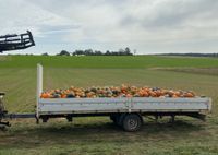 Lkw Traktor Anhänger 1 Achser Luftfederung Plattform Heu Stroh Baden-Württemberg - Horb am Neckar Vorschau