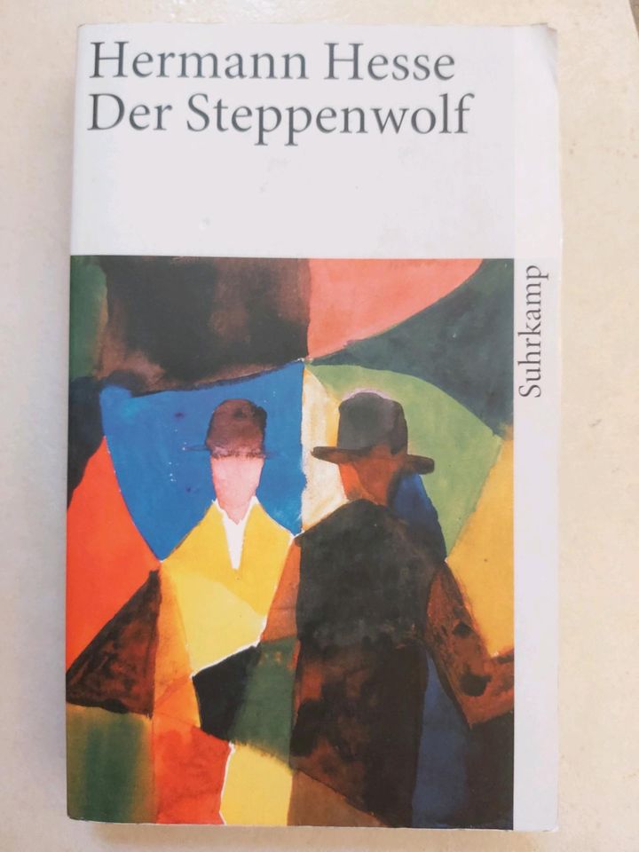 Der Steppenwolf / Hermann Hesse / ISBN 978-3-518-36675-2 in Althütte