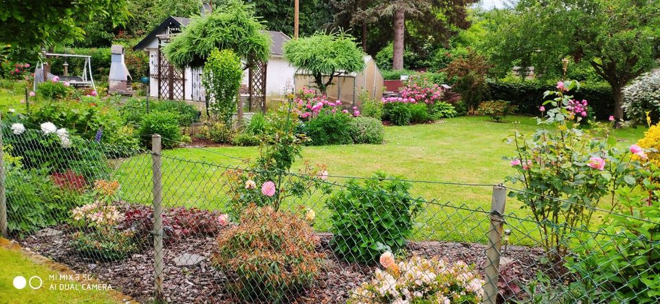 Top gepflegter Garten/Pachtparzelle beim Tabak Quartier Bremen in Bremen