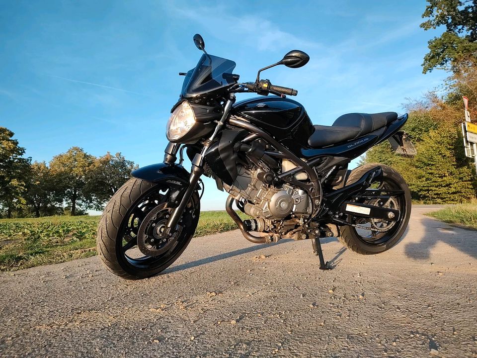 Suzuki Gladius SFV 650 Gladius in Böblingen