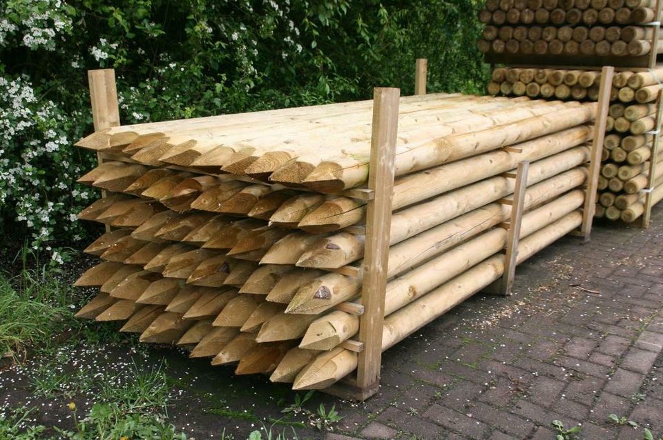 Baumpfähle Zaunpfähle Holzpfähle 10 x 300 cm imprägniert in