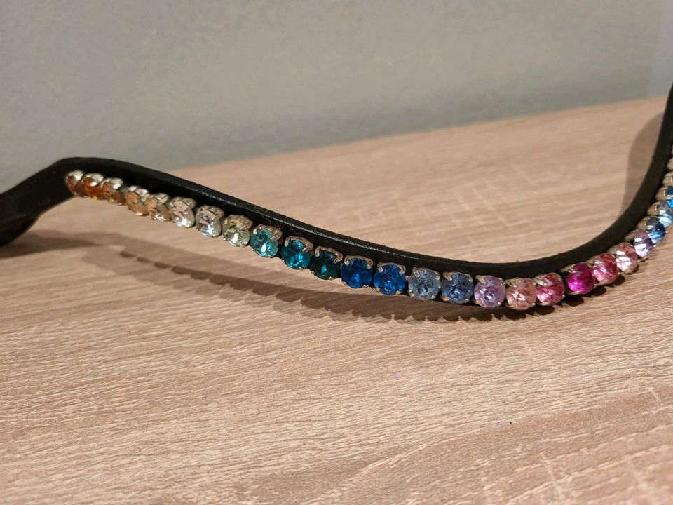 My Unicorn Swarovski Rainbow Stirnriemen Stirnband Slim Braun WB in Reichenau