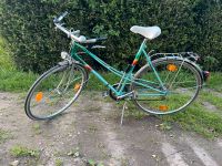 Damenrad Fahrrad 26 Zoll guter Zustand Nordrhein-Westfalen - Petershagen Vorschau
