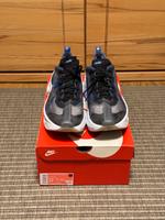 Nike Zoom X Vista Grind Racer Blue EU 44,5 Cond. 8,5/10 Neuwertig Bayern - Riedering Vorschau